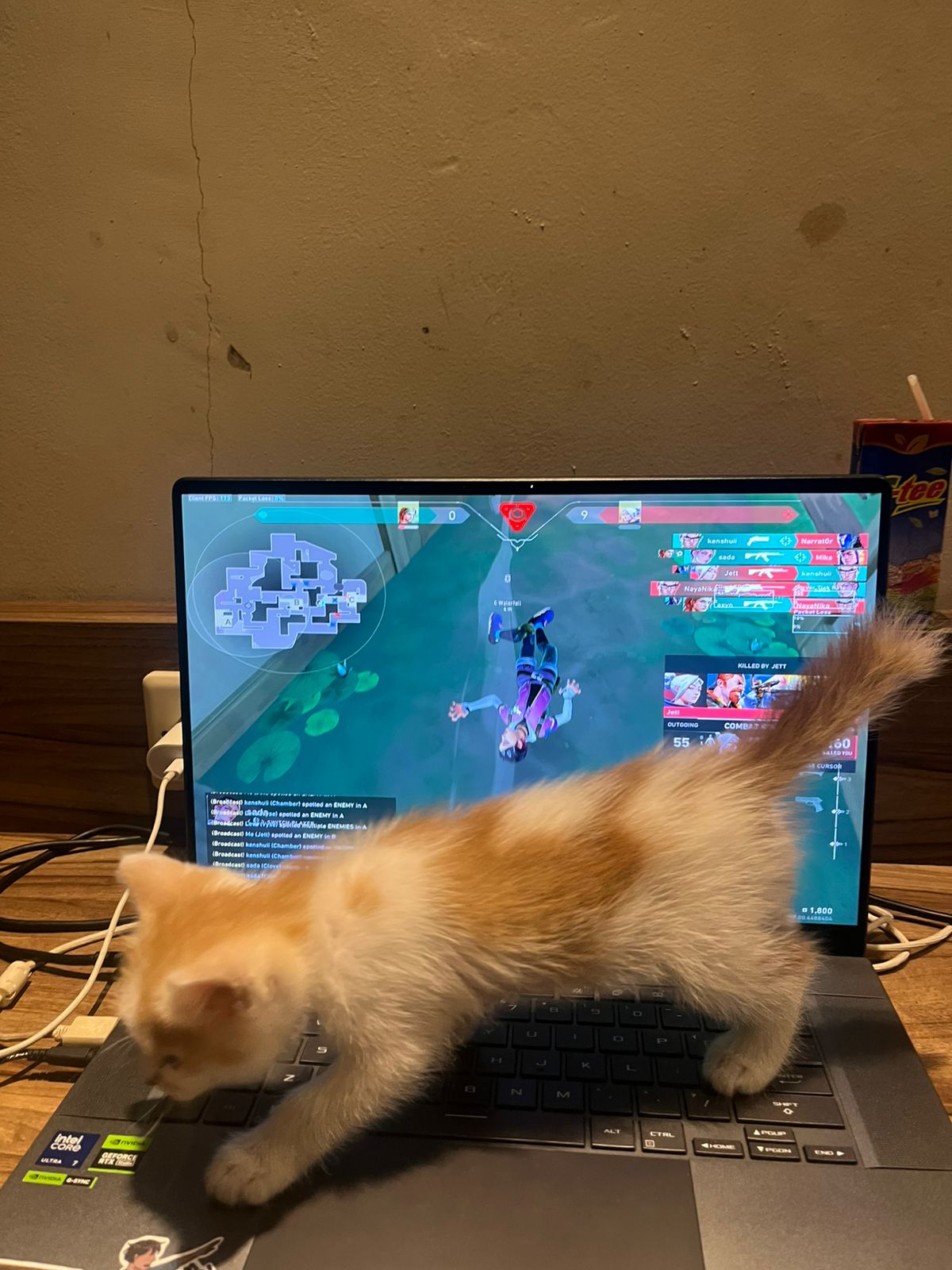 Gaming Partner