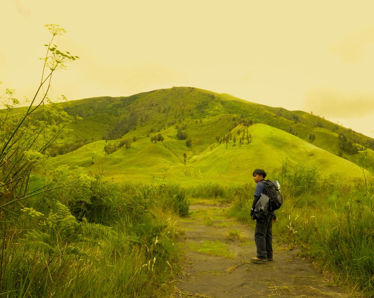 View Indah II